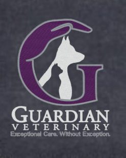 Embroidered Guardian Blanket